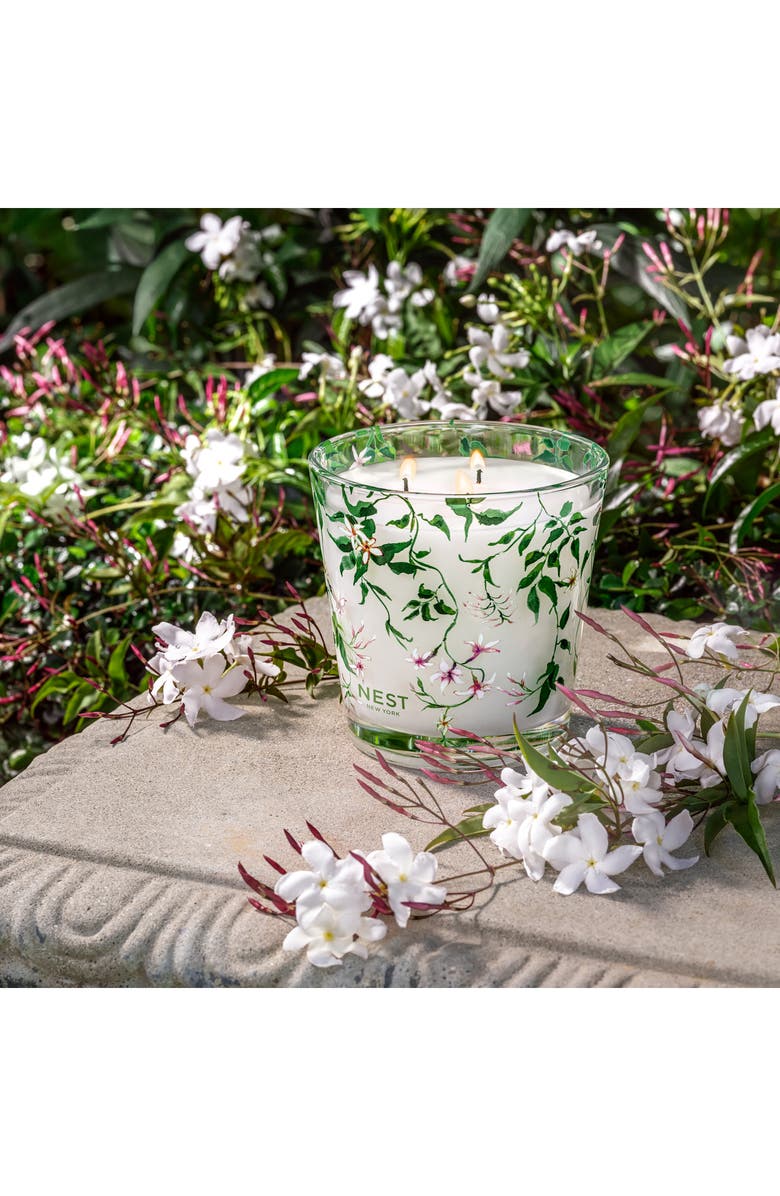 NEST New York Indian Jasmine 3-Wick Candle, Alternate, color,