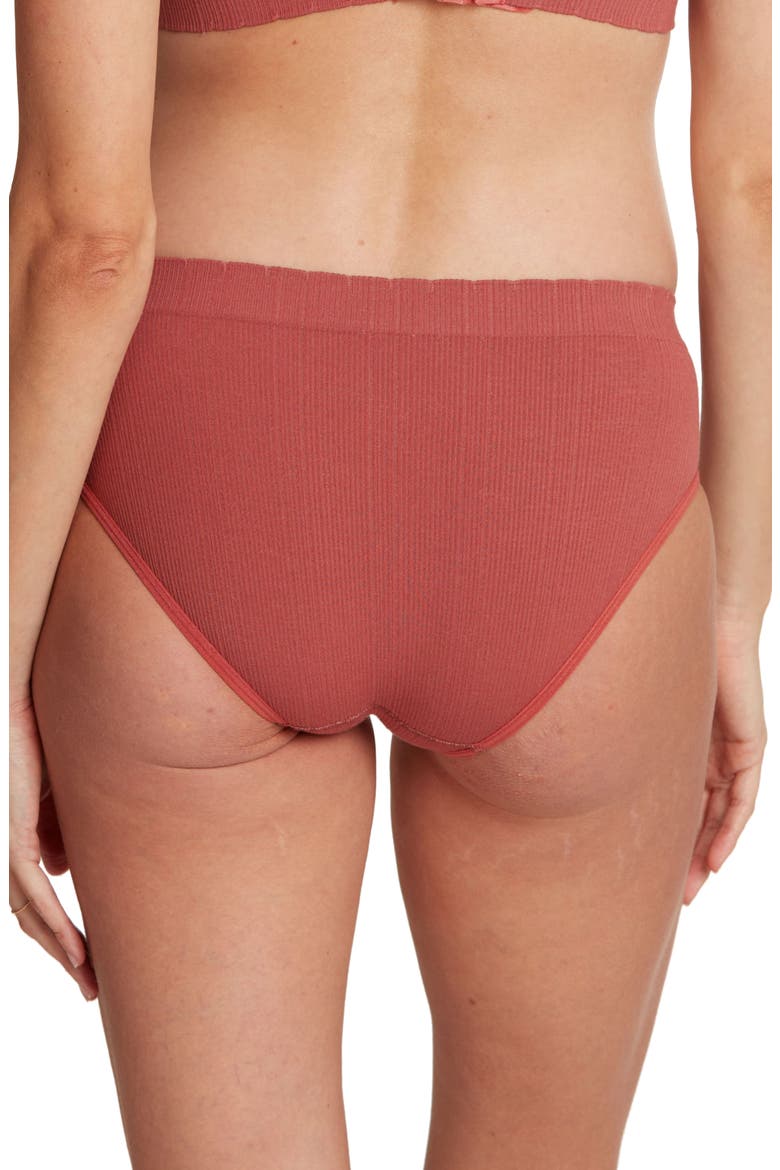 Zoe Maternity Briefs, Alternate, color, TERRACOTTA