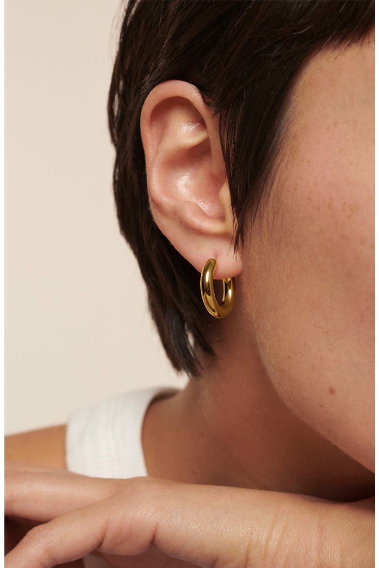 Small Essential Tube Hoop Earrings, Alternate, color, 18CT GOLD VERMEIL