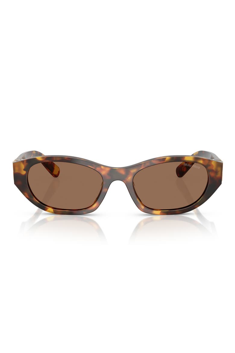 53mm Oval Sunglasses, Main, color, HONEY HAVANA / DARK BROWN