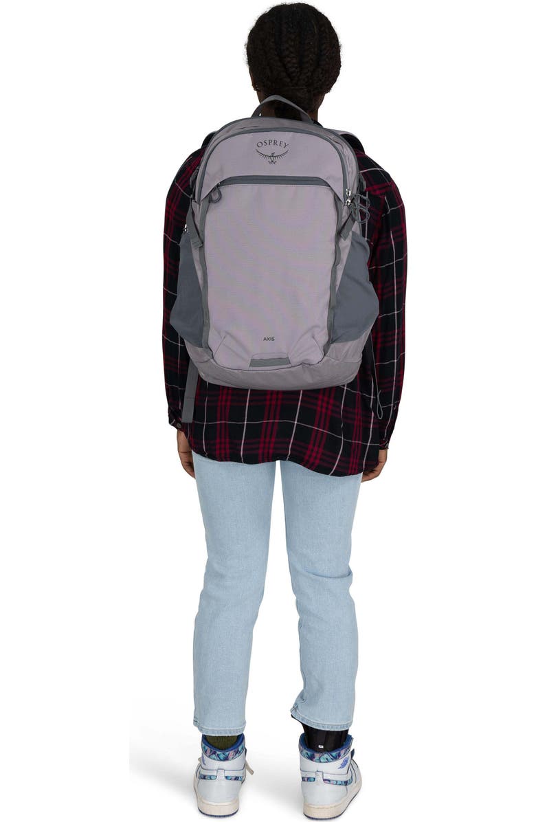 Osprey Axis 24-Liter Backpack, Alternate, color, Soundwave Grey