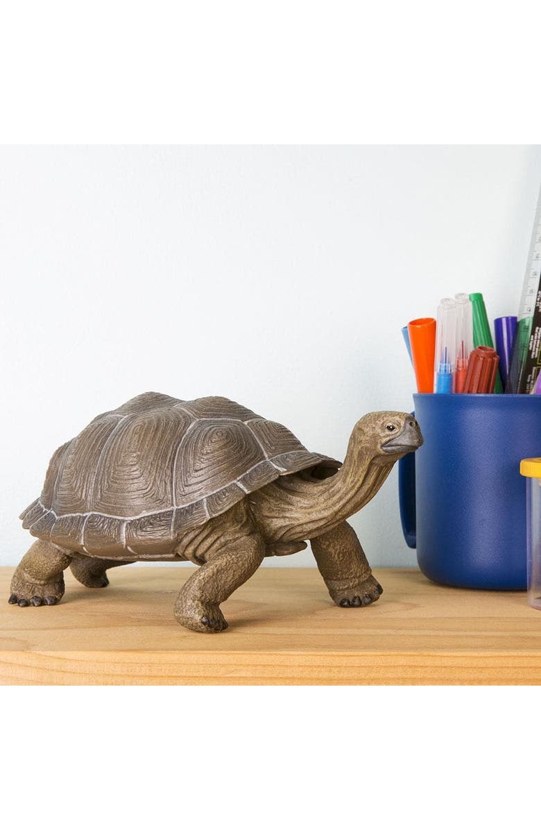 Safari Ltd. Tortoise Toy, Alternate, color, NO COLOR