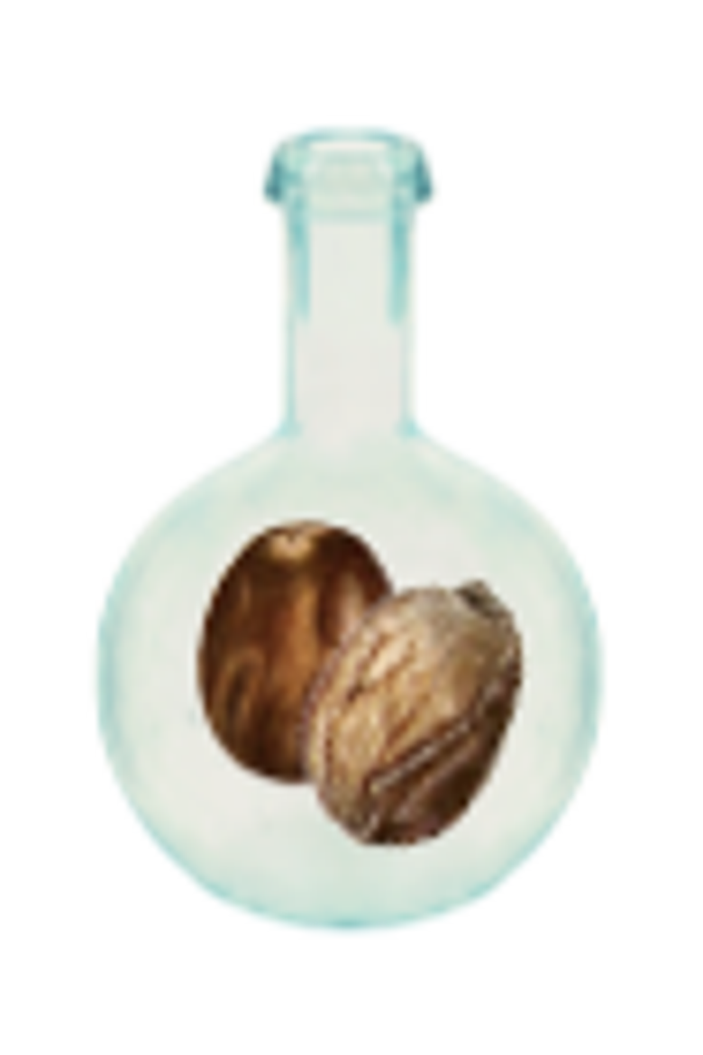 Folia Eau de Parfum, Alternate, color, Clear