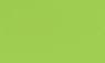 SEAGRASS