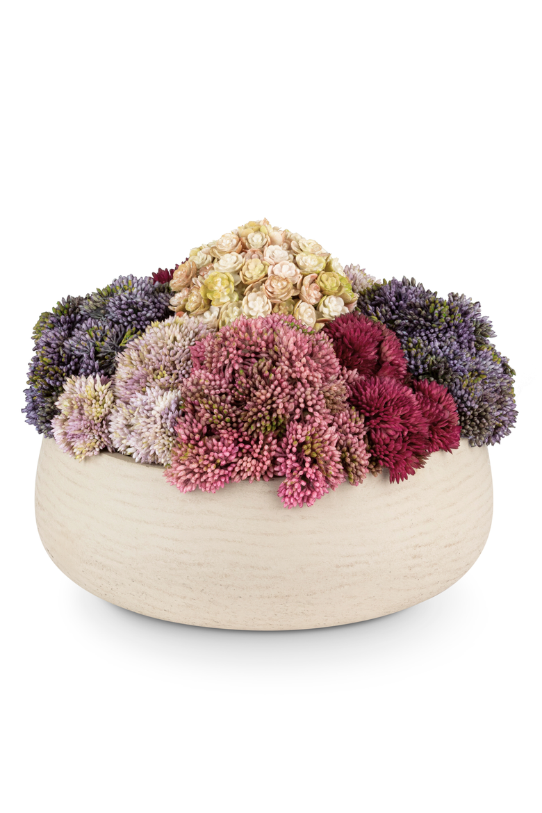 Deveraux Sedum Arrangement, Main, color, Multi-Color