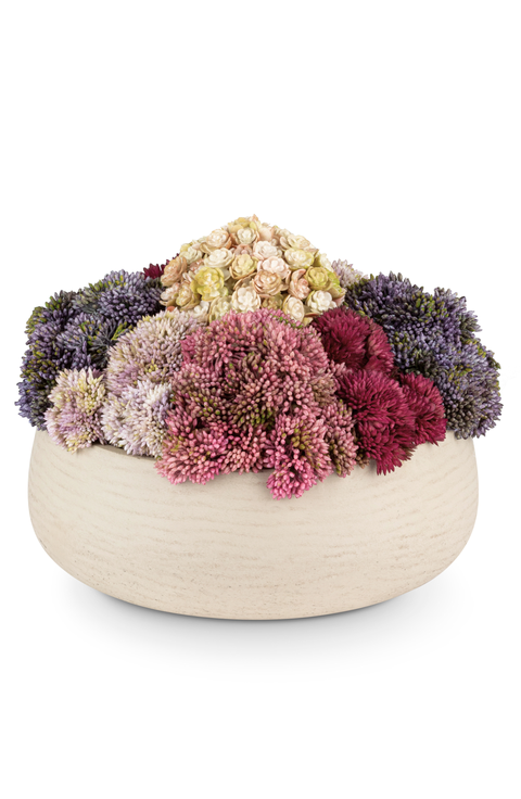 Deveraux Sedum Arrangement