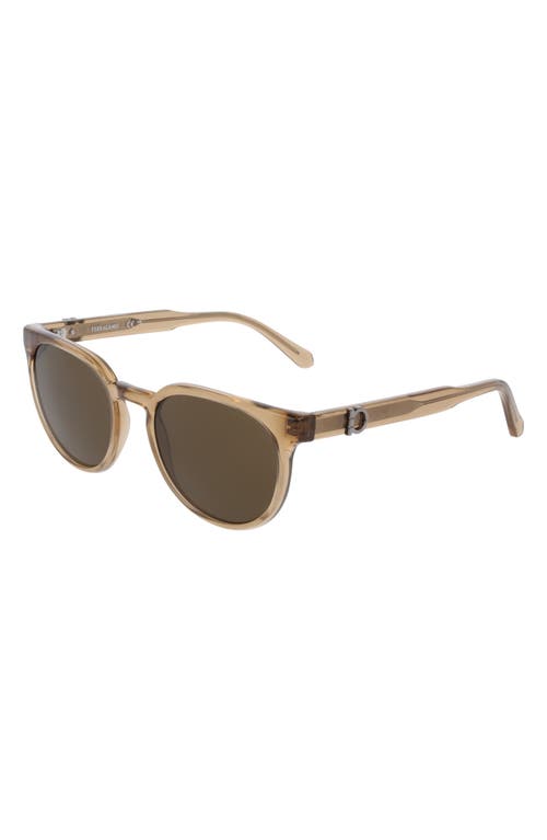 Ferragamo 53mm Round Sunglasses In Transparent Sand
