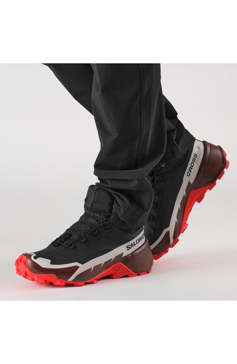 Salomon Cross Hike 2 Mid GTX Shoe, Alternate, color,