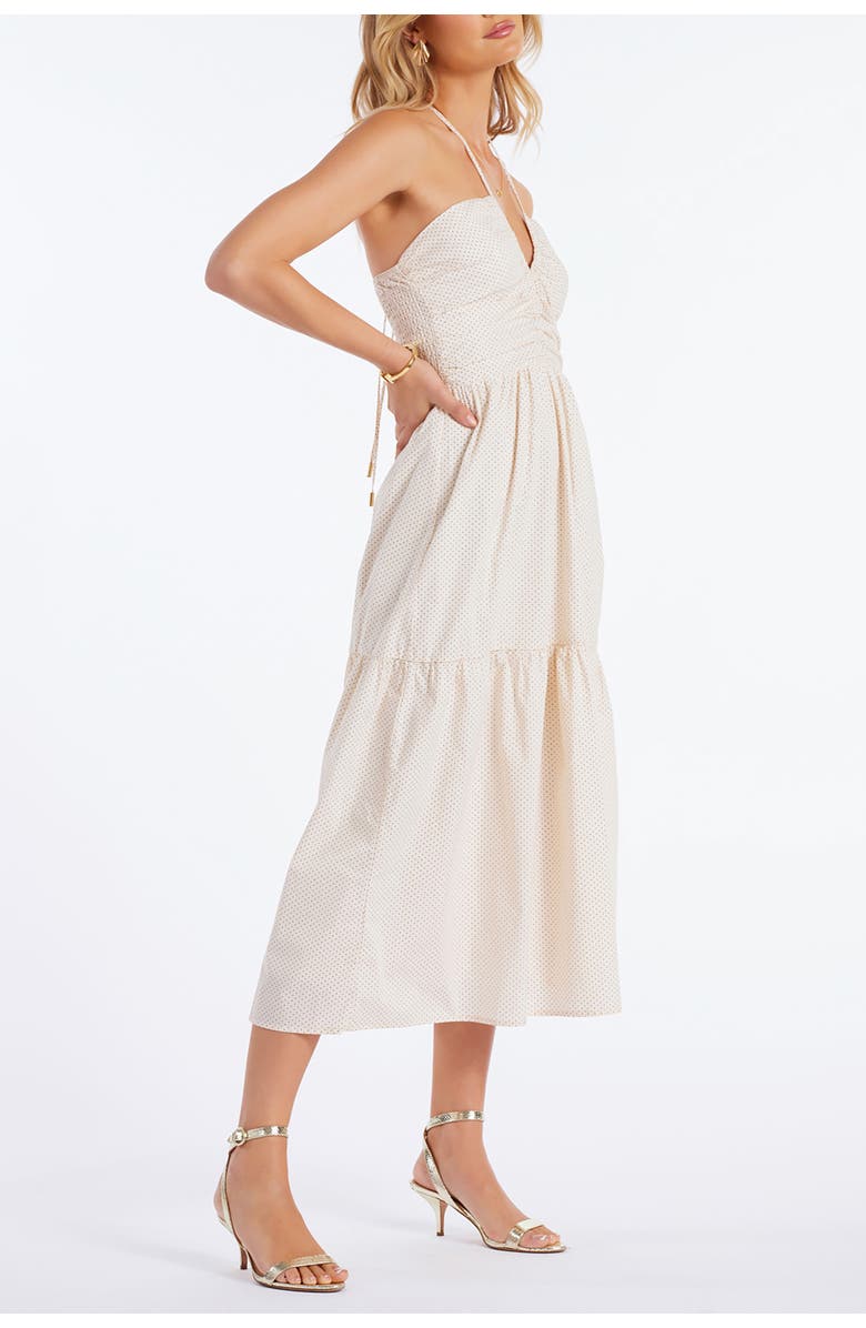 Bishop + Young Aeries Halter Dress, Alternate, color, Micro Polka Dot