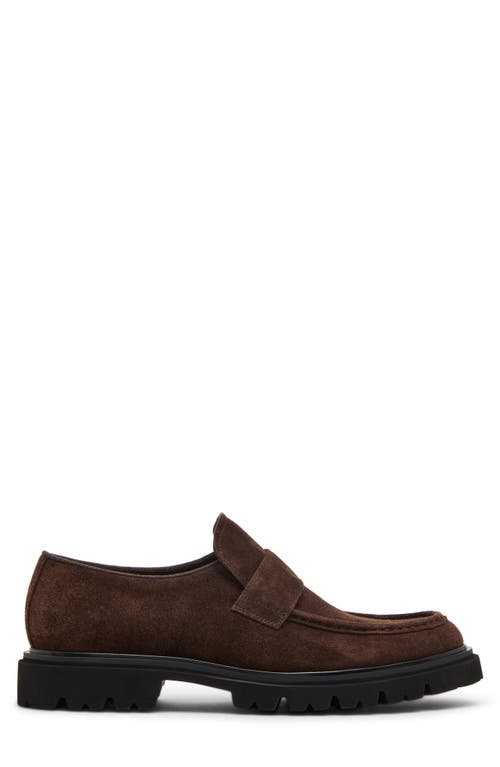 Steve Madden Reynolds Loafer In Brown