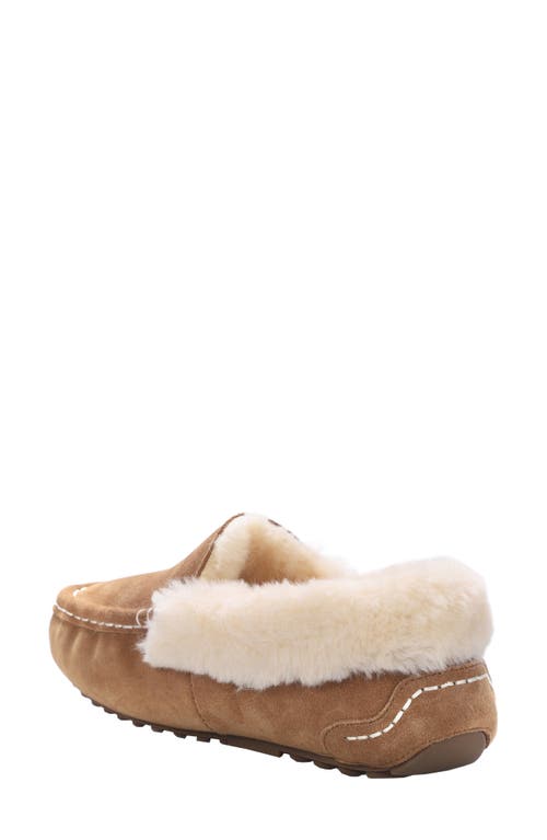 Mykos Suede Faux Fur Lined Water Repellent Slipper In Brown