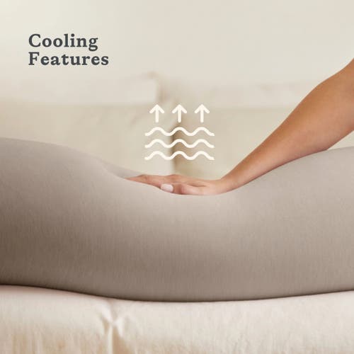 Bbhugme Pregnancy Pillow In Neutral