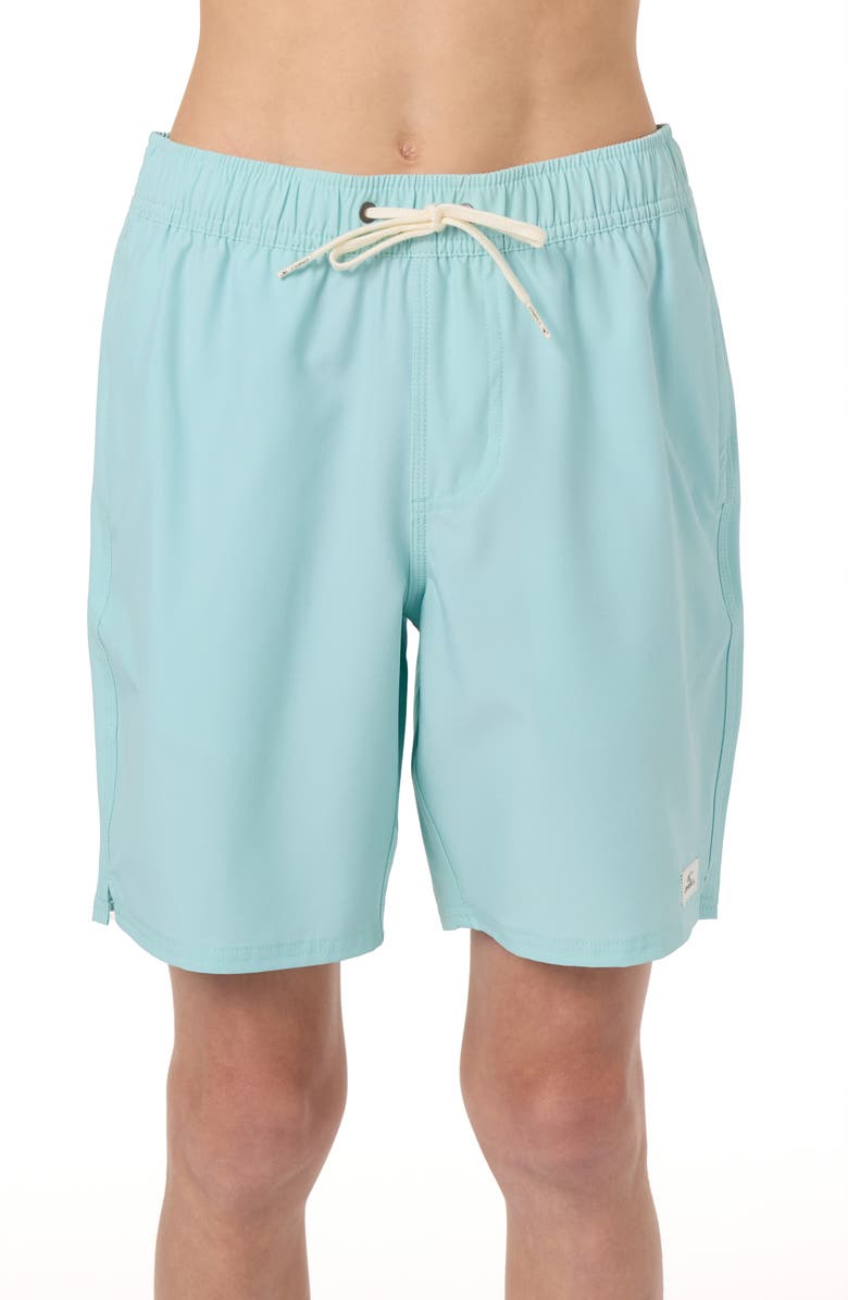 O'Neill Kids' Lennox Hermosa Solid Volley Swim Trunks, Main, color, Canal Blue