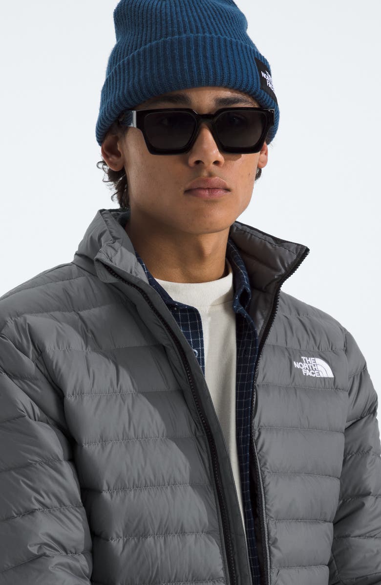 The North Face Classic 700 Fill Power Down Jacket, Alternate, color, Smoked Pearl