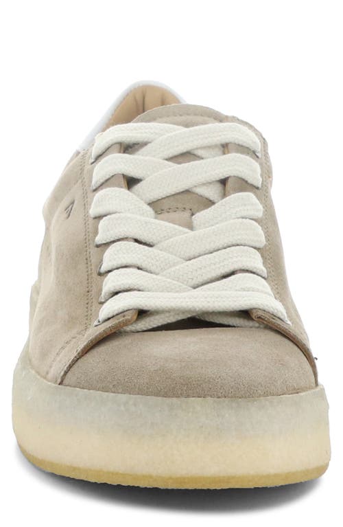 Ambitious Low Top Sneaker In Brown