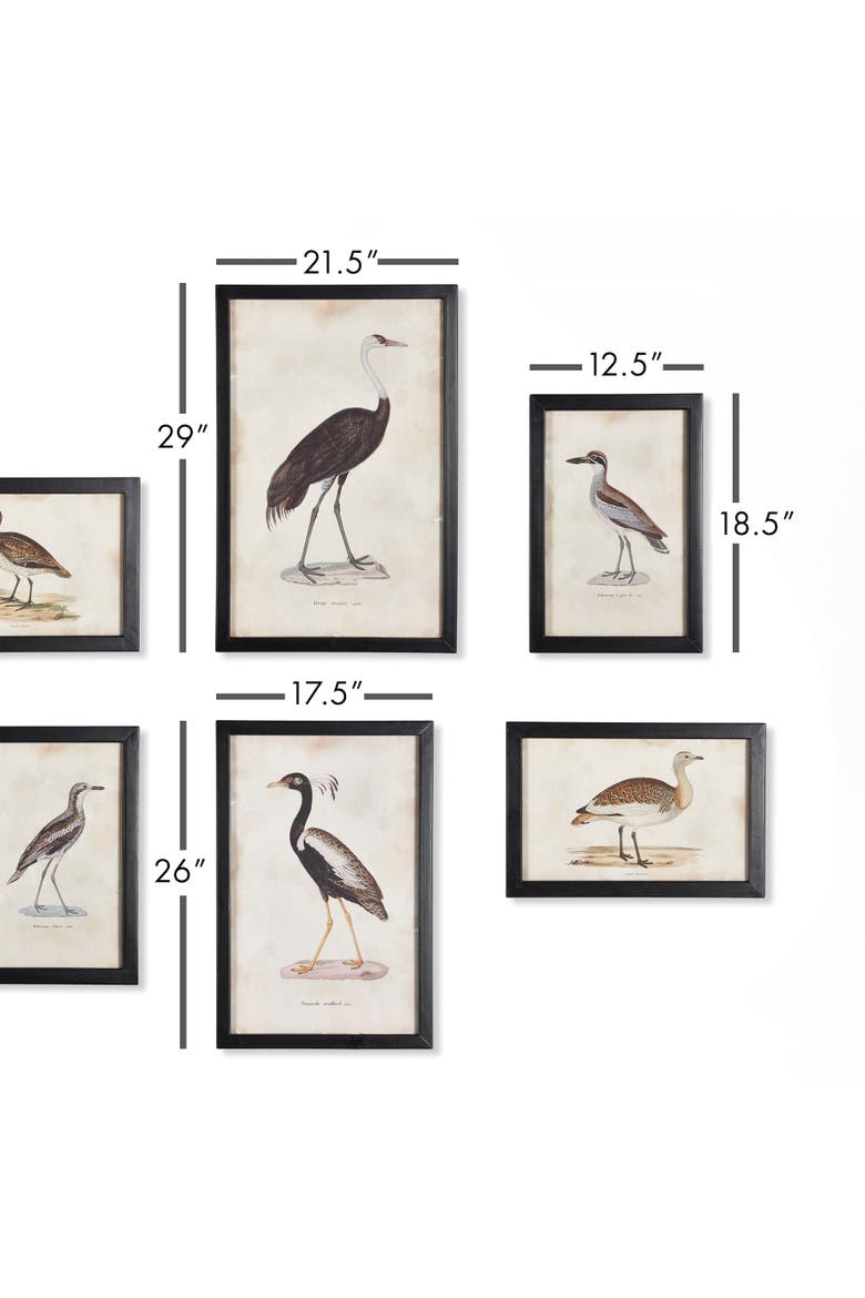 Waterfowl Gallery, Set Of 6, Alternate, color, Black