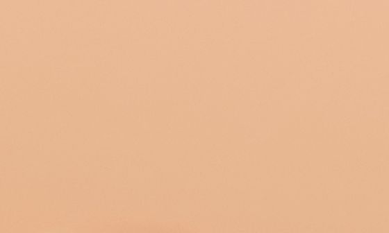 2N22 - NUDE