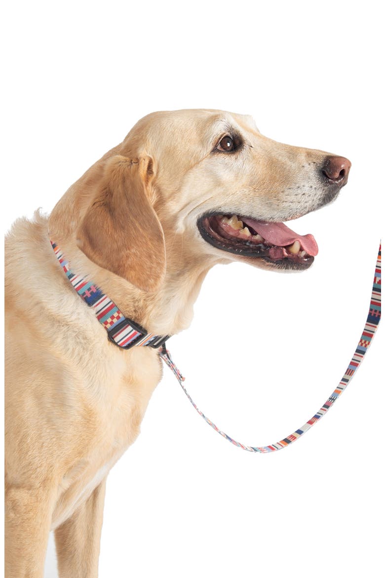 Adventure Leash, Alternate, color, TAMIAMI