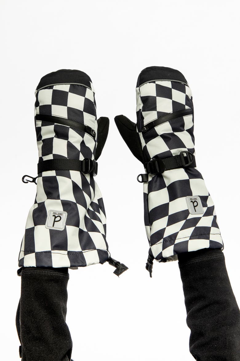 Teknik Checkered Waterproof Cordura Reinforced Winter Mittens, Alternate, color, White Checkered Print