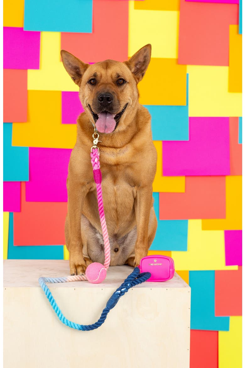 Maddox Rope Dog Leash, Alternate, color, Maddox 4ft