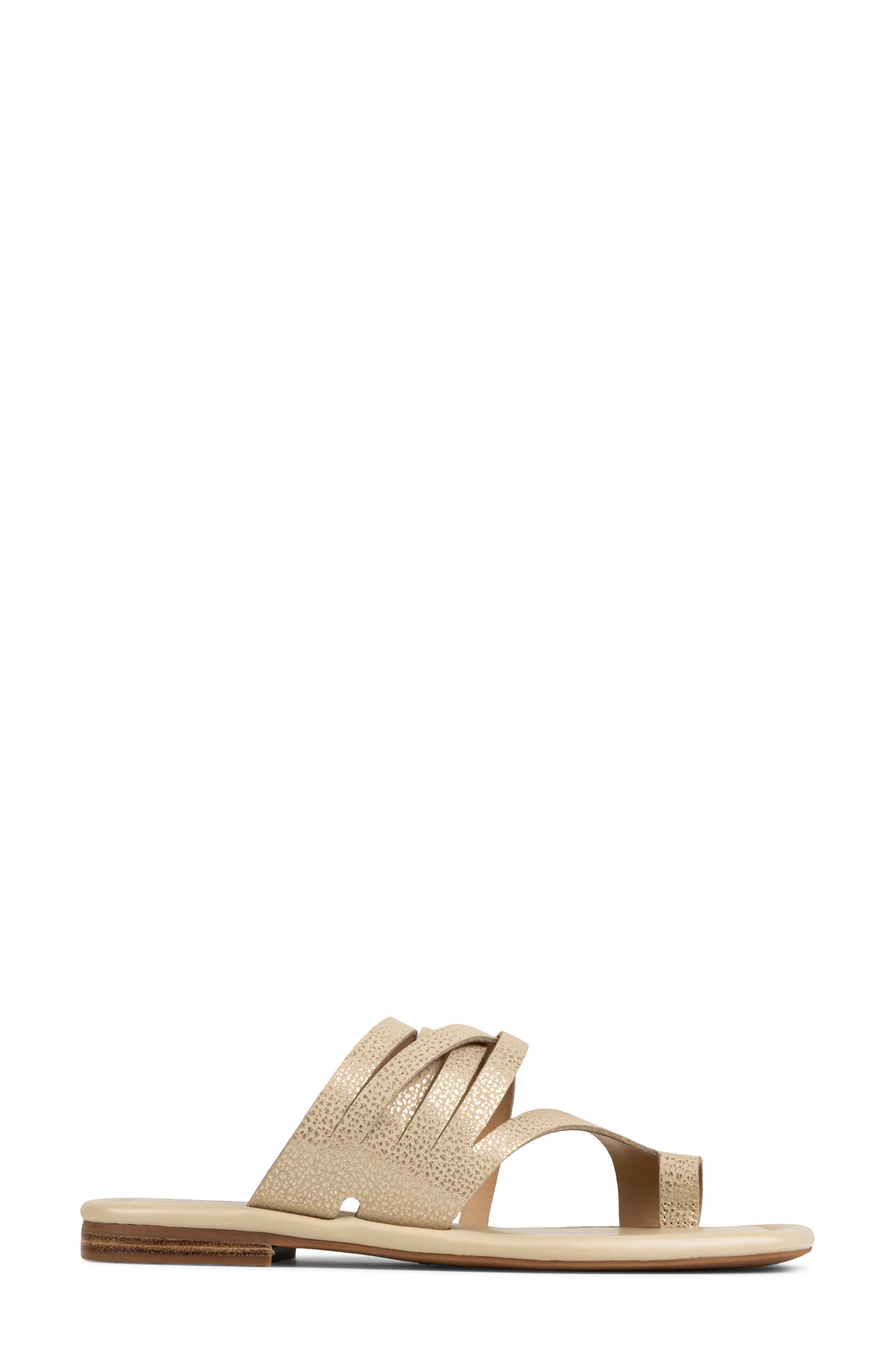 Hazie Toe Loop Sandal, Alternate, color, PLATINUM