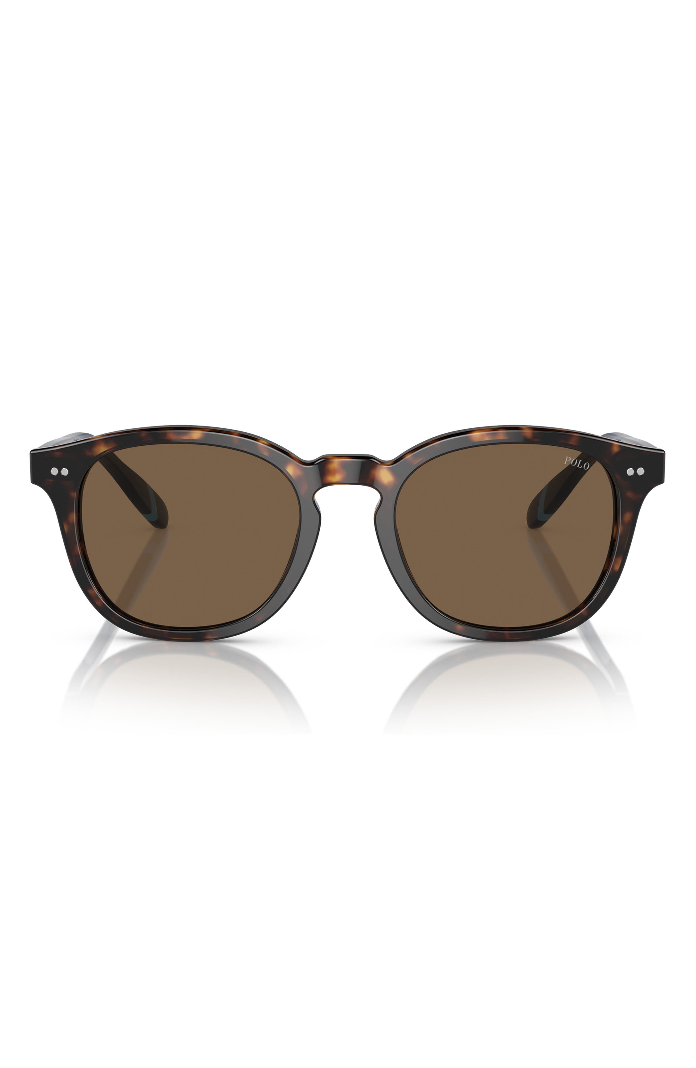 SHINY DARK HAVANA / BROWN