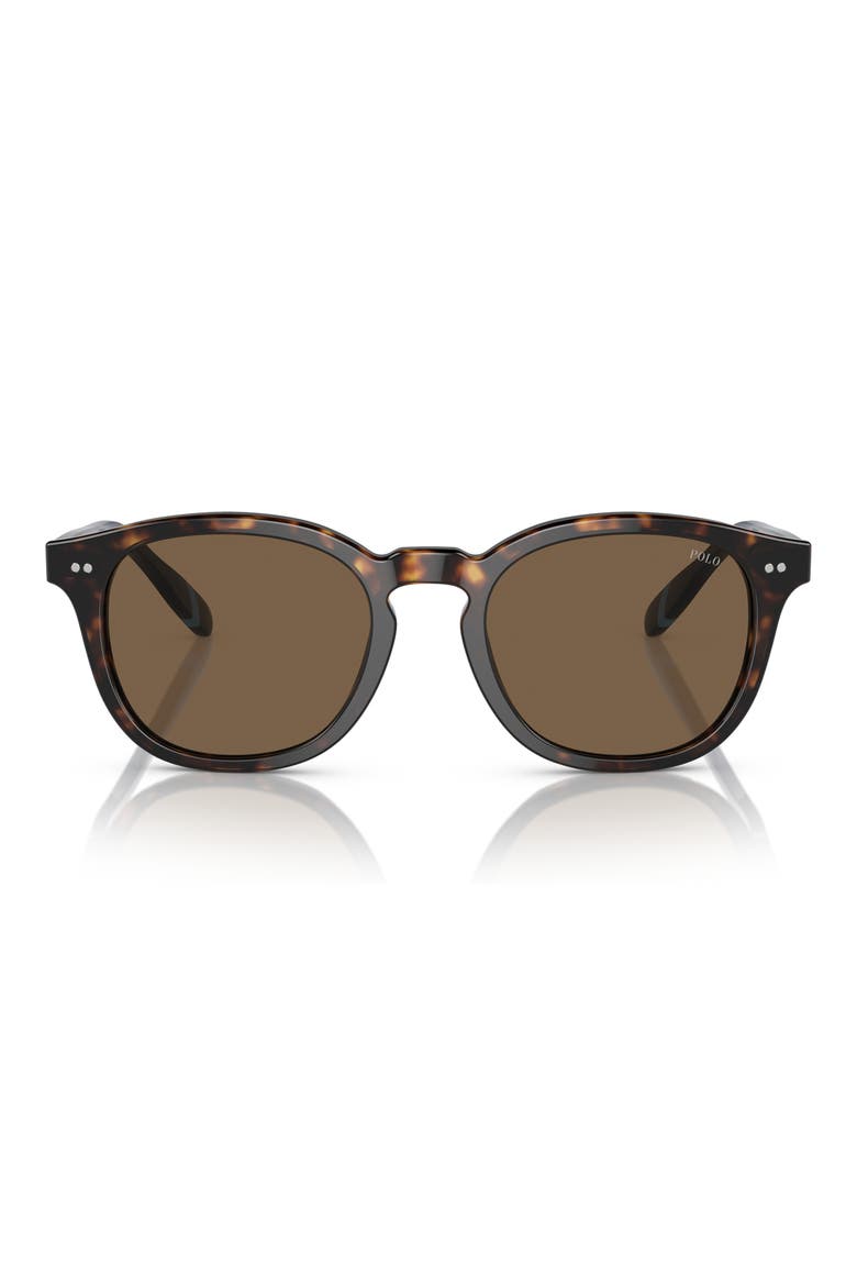 52mm Phantos Sunglasses, Main, color, SHINY DARK HAVANA / BROWN