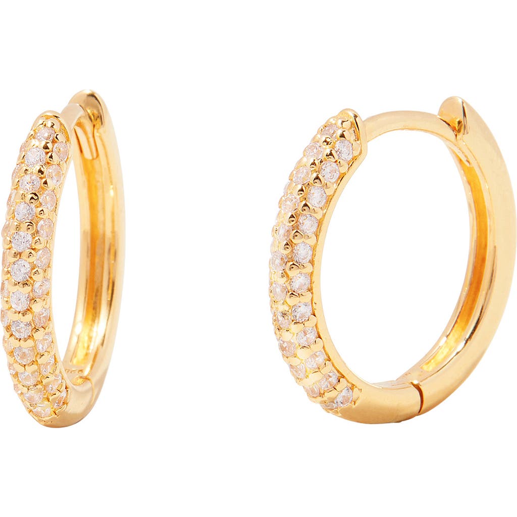 Brook and York Cecile Pavé Cubic Zirconia Hoop Earrings in Gold at Nordstrom