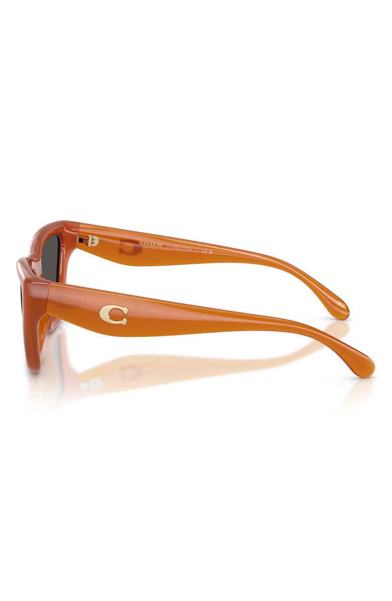 COACH 56mm Cat Eye Sunglasses, Alternate, color, Milky Amber / Wine Solid