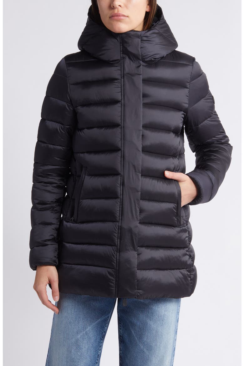 Danis Water Resistant Nylon Puffer Jacket, Main, color, BLACK
