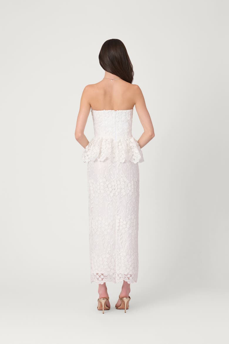 Vine Embroidered Mesh Midnight Lotus Dress, Alternate, color, Optic White