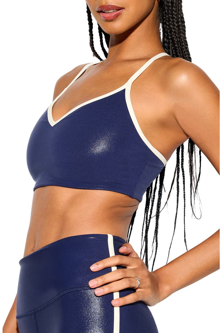 Libra High Gloss Longline Sports Bra, Alternate, color, INDIGO
