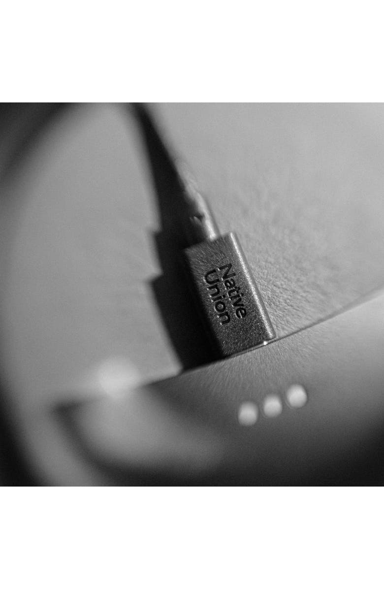 Native Union Belt Cable XL, Alternate, color,