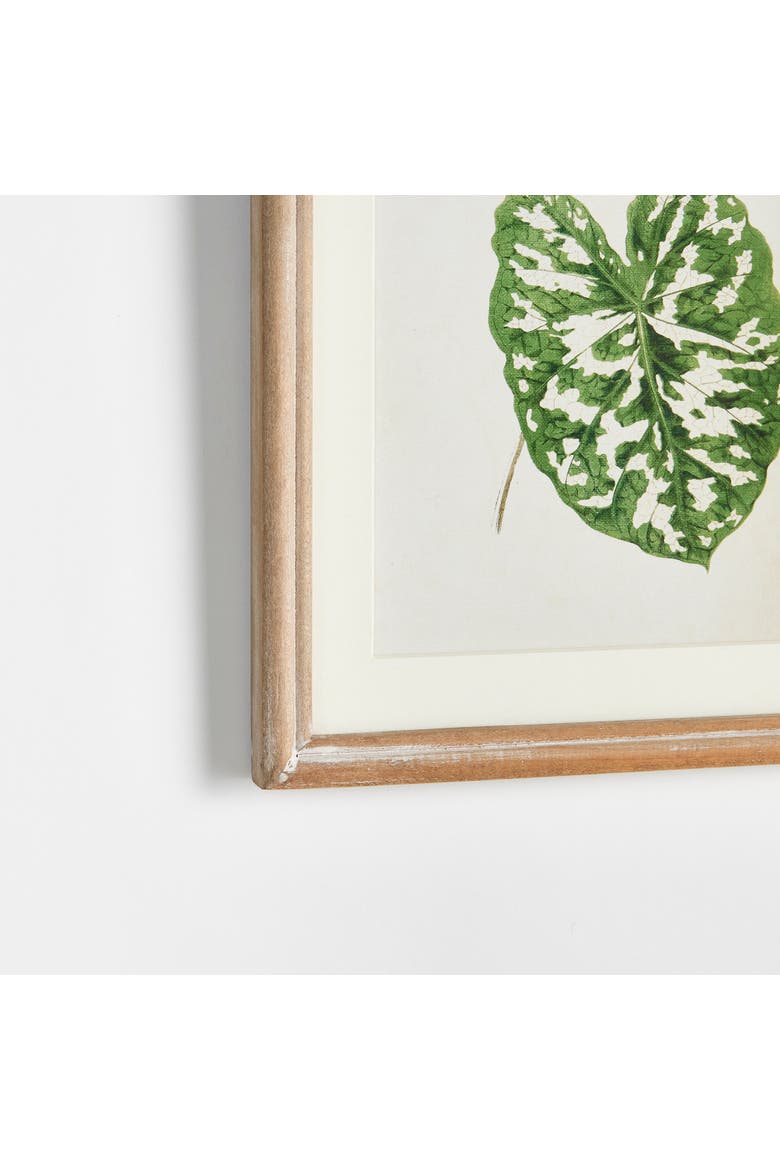 Leaf Cuttings Petite Prints Set of 3, Alternate, color, Green