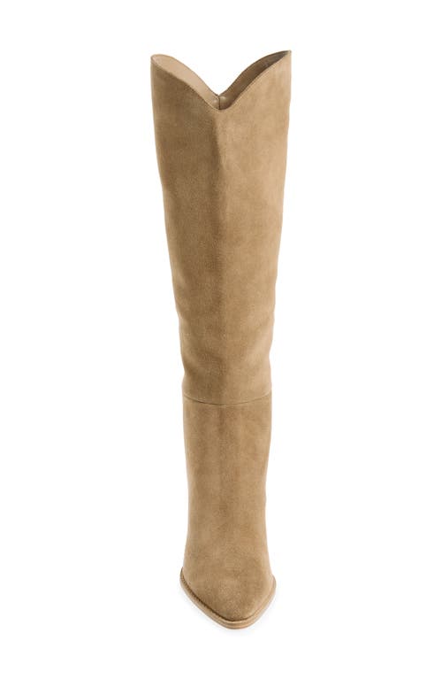 Steve Madden Bixby Pointed Toe Knee High Boot In Taupe Suede