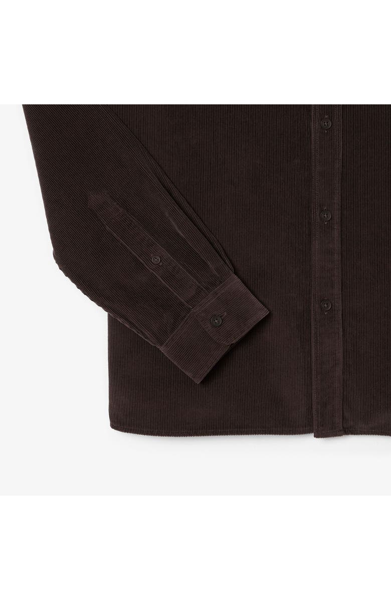 Lacoste Regular Fit Corduroy Button-Up Shirt, Alternate, color, Port