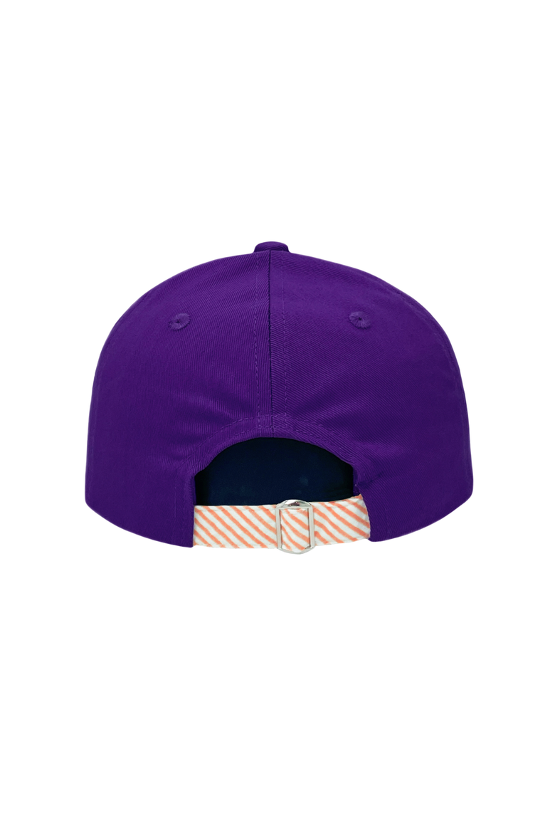 Clemson Tigers Baseball Hat, Alternate, color, Purple