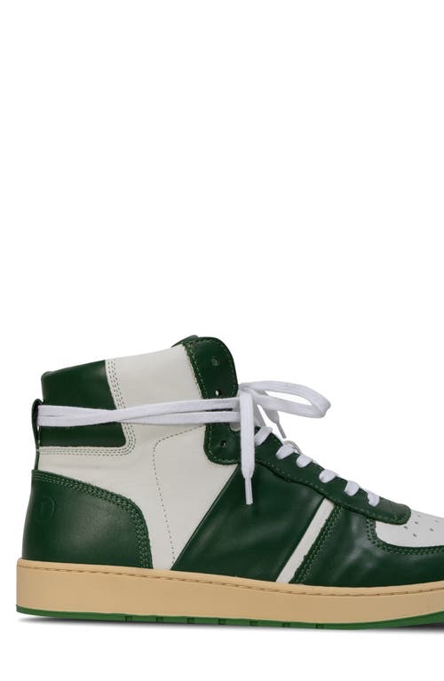 Collegium Pillar Destroyer High Top Sneaker In Green