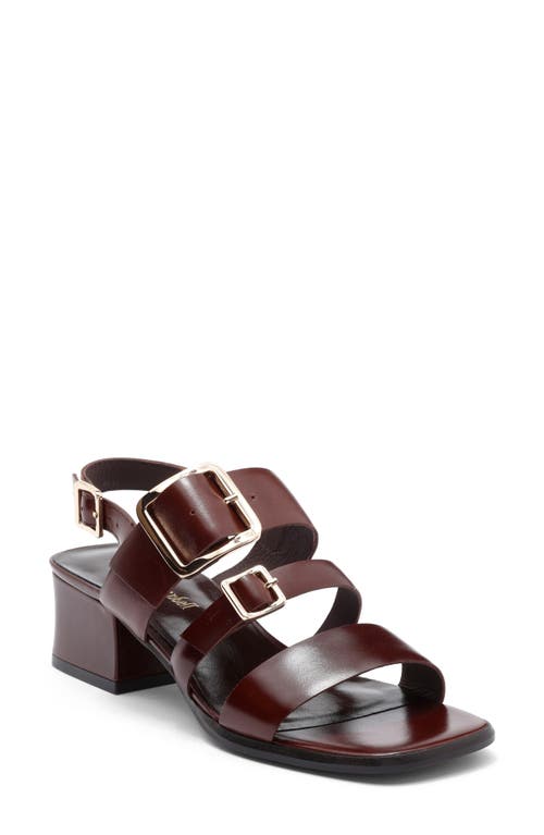 Jeffrey Campbell Righteous Cage Sandal in Brown at Nordstrom, Size 7.5