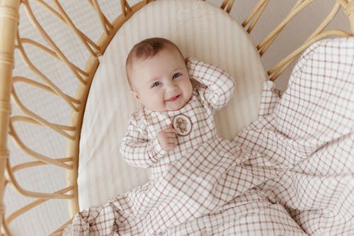 Ely's & Co. Modal French Terry Plaid Sheep Collection In Multi