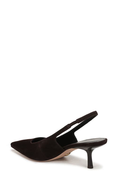 Veronica Beard Cashel Slingback Pointed Toe Pump In Brown