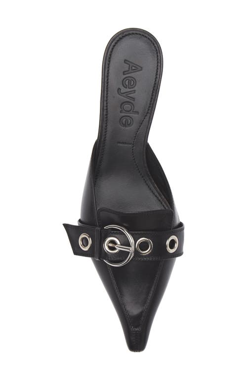 Shop Aeyde Danielle Grosgrain Pointed Toe Mule In Black