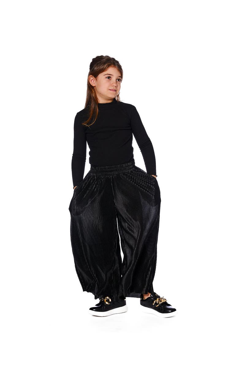 Deux par Deux Wide Leg Pleated Pants, Main, color, Black