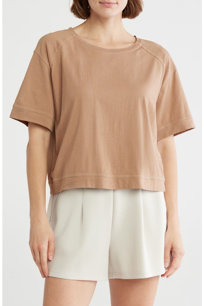 Vintage Wash Boxy Tee, Main, color, TAN PORTABELLA