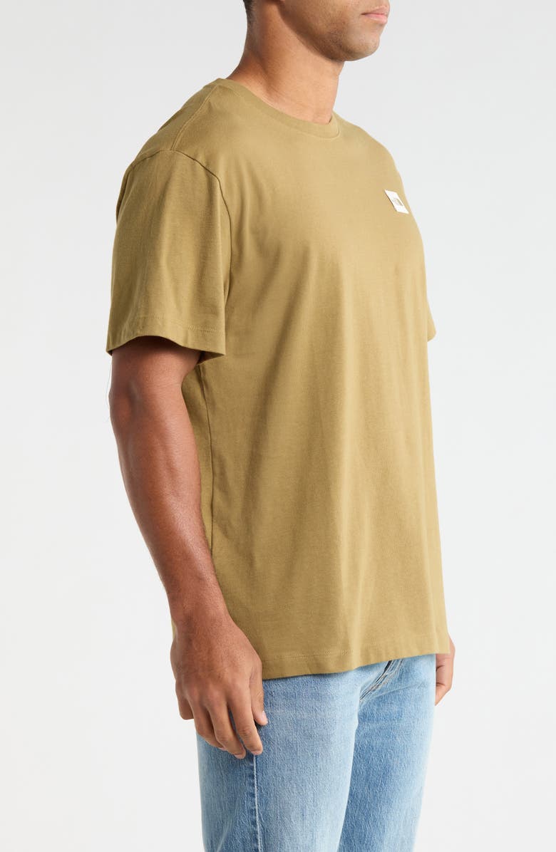 The North Face Places We Love - Denali Cotton Graphic T-Shirt, Alternate, color, Cedar