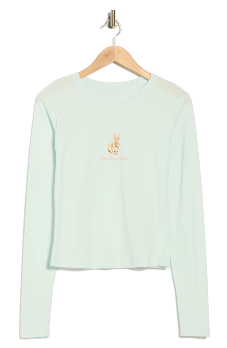 Hi Res Snow Bunny Long Sleeve Graphic T-Shirt, Main, color, Ice Melt