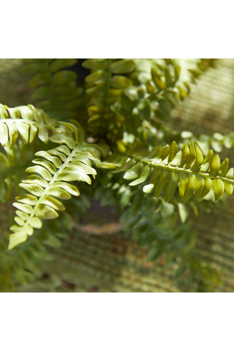 Boston Fern Drop-Ins, Set Of 3, Alternate, color, Green