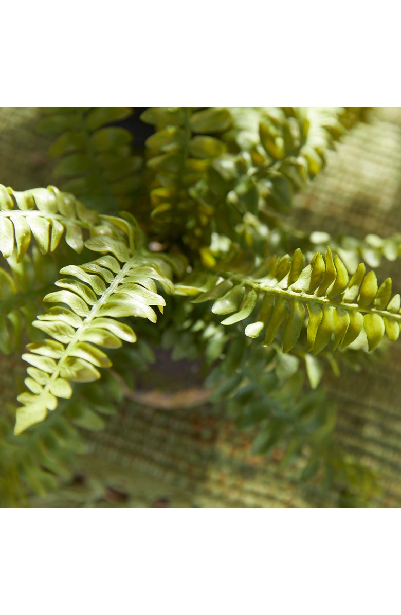 Napa Home & Garden Boston Fern Drop-Ins, Set Of 3, Alternate, color, Green