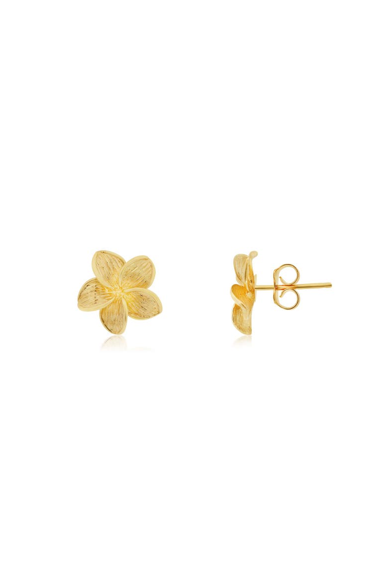Gold Tropical Flower Stud Earrings, Main, color, Yellow Gold