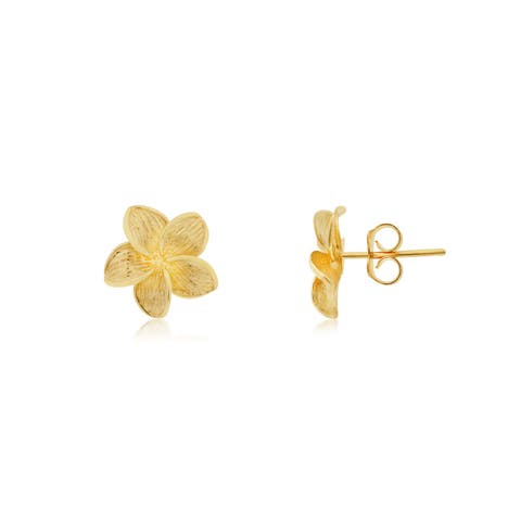 Gold Tropical Flower Stud Earrings